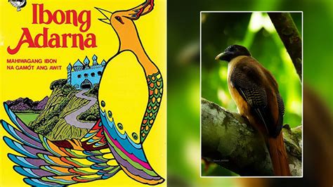  Ang Ibong Adarna : 꿈에서 비롯된 신비로운 오두막과 용감한 왕자들의 모험을 그려낸 필리핀 민속담!